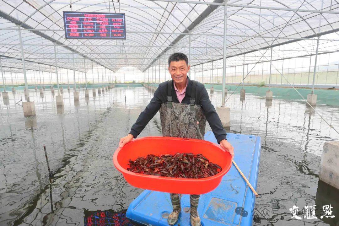 小龙虾让全国人民认识了这组生僻字_盱眙龙虾_视觉_国际
