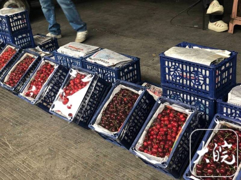 国产大樱桃价格走低 最便宜的几块钱一斤