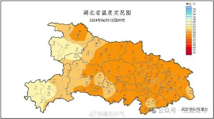 湖北阳新天气图片