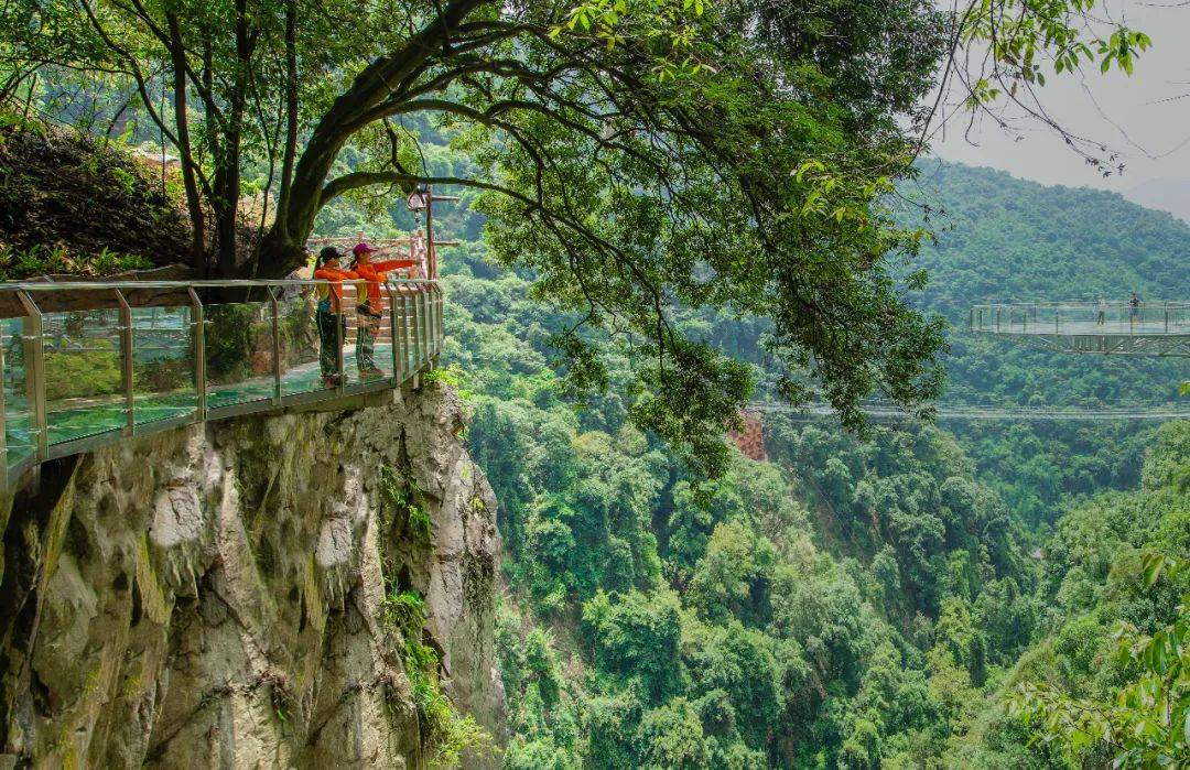 12亿网络流量!古龙峡最新攻略!拿走不谢!