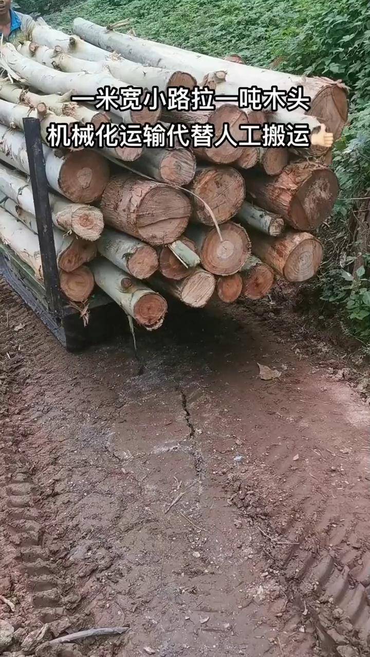 爬山虎运输车厂家拉木头 山地运输车 爬山虎运输车
