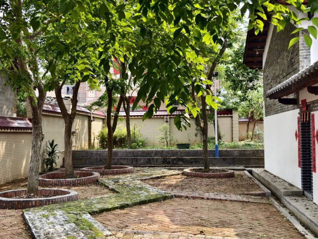 美丽庭院· 绿美云浮 | 接力"晒"⑥ 美好"院"景在身边!