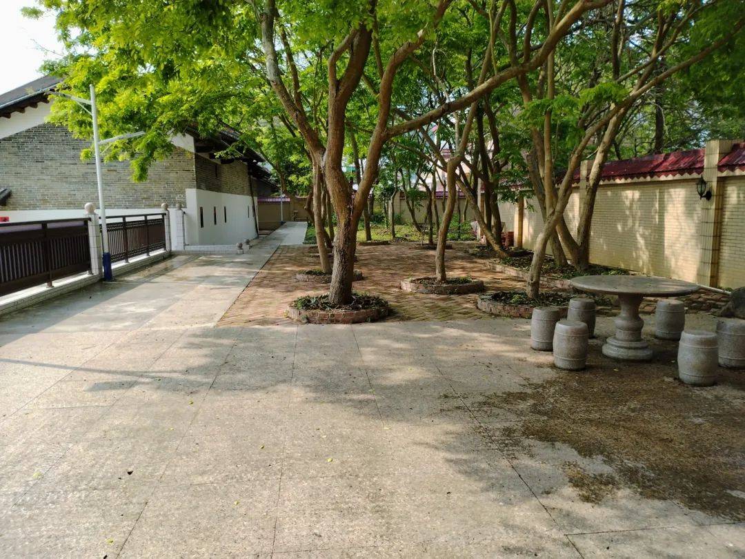 罗定市朗塘镇黄天来家庭廖许彬户的美丽庭院内绿树成荫,一进院门就