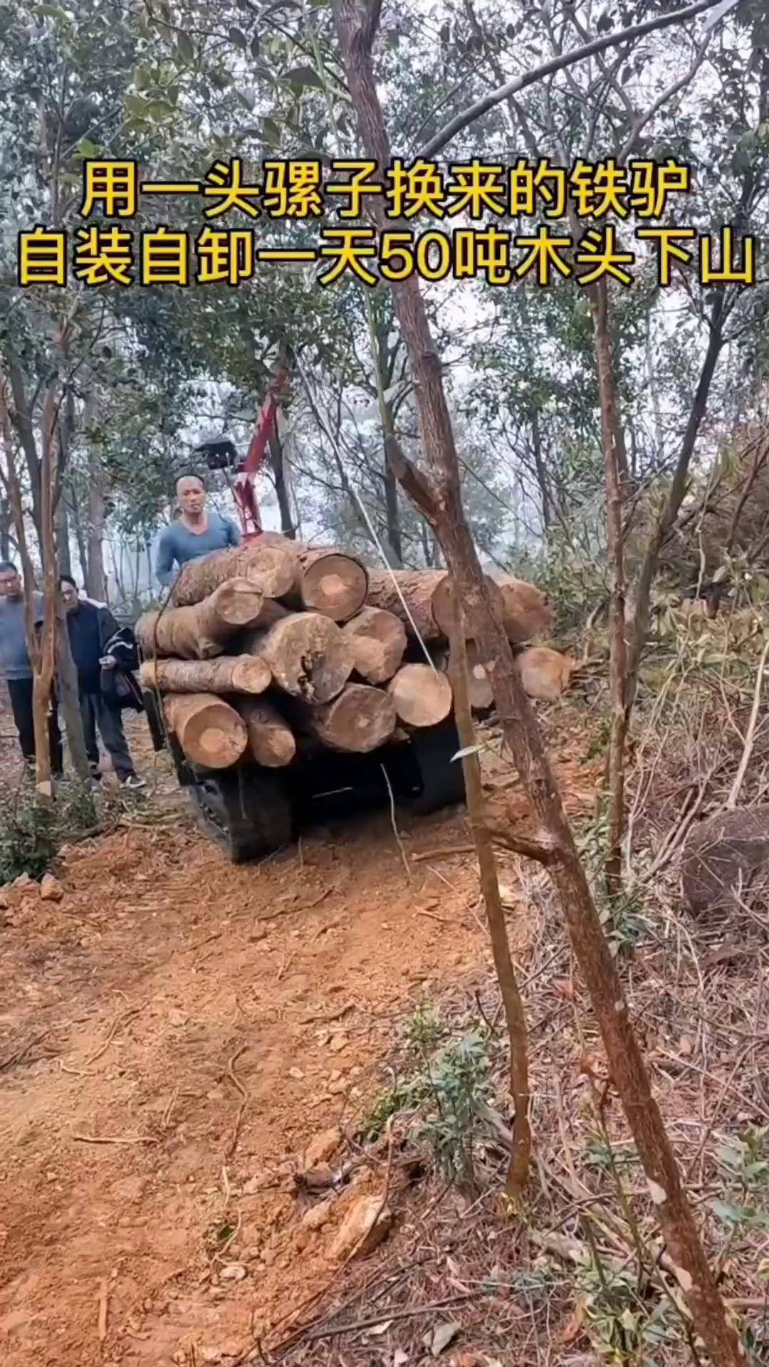 全地形车 爬山王 爬山虎运输车 拉木头 农业机械