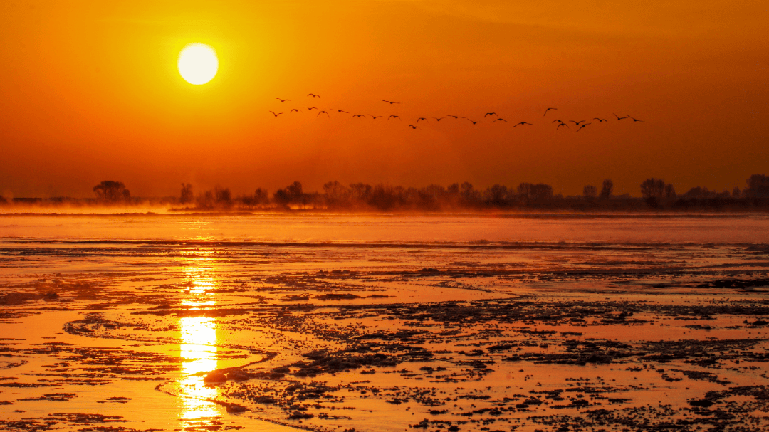 用国色打开梦幻临泽