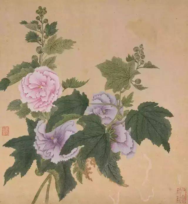恽寿平没骨花卉作品欣赏