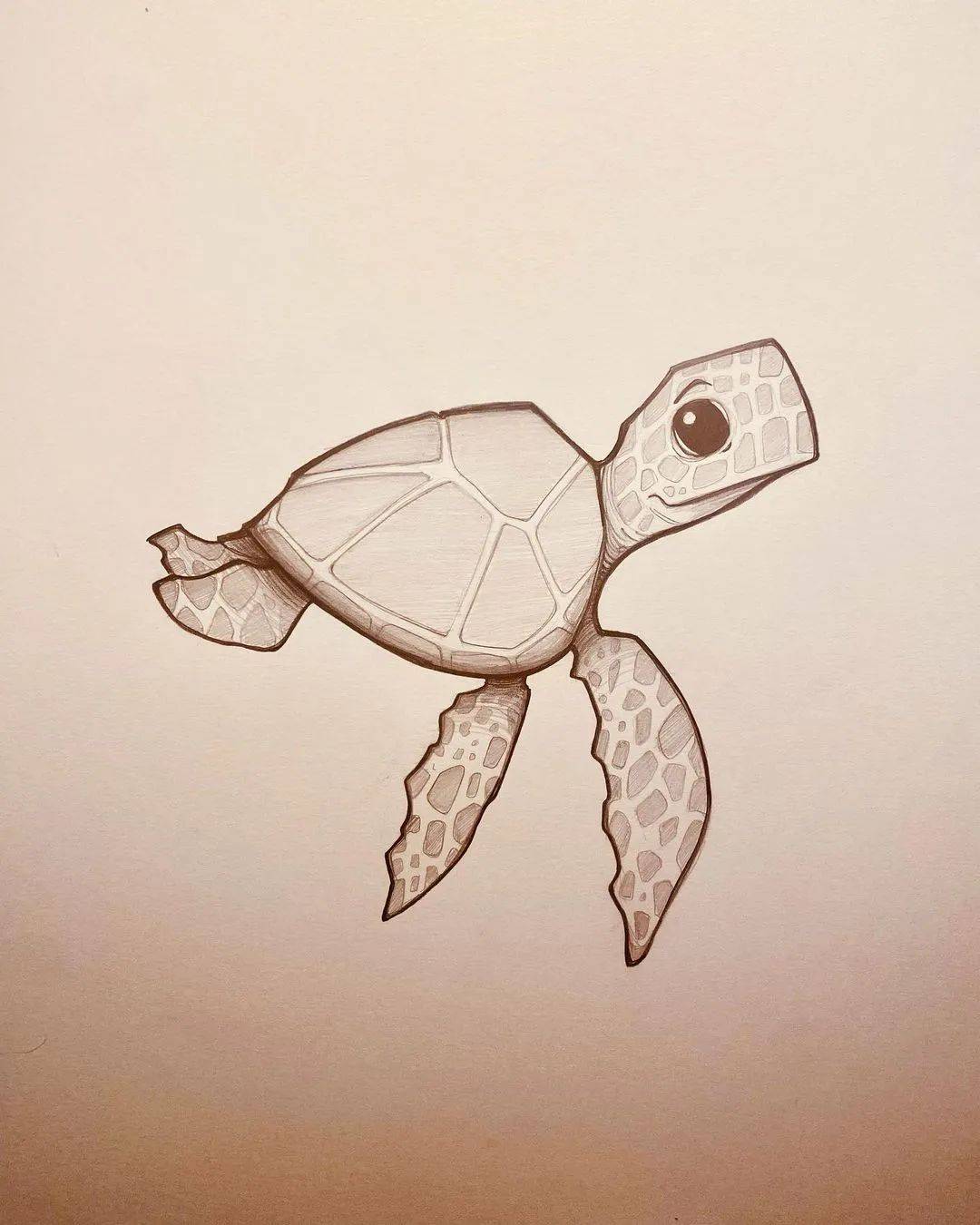 螃蟹6969海豹锤头鲨机械鲨大白鲨6969斑点狗老鼠狮子企鹅