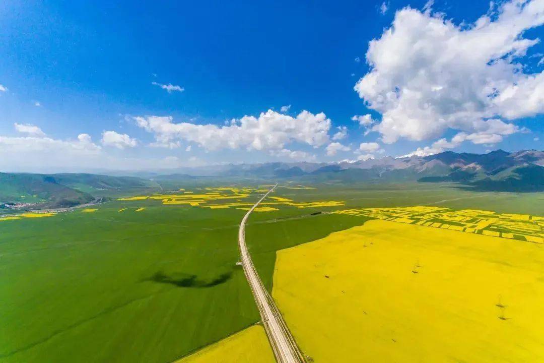 壁纸 草原 桌面 1080_720