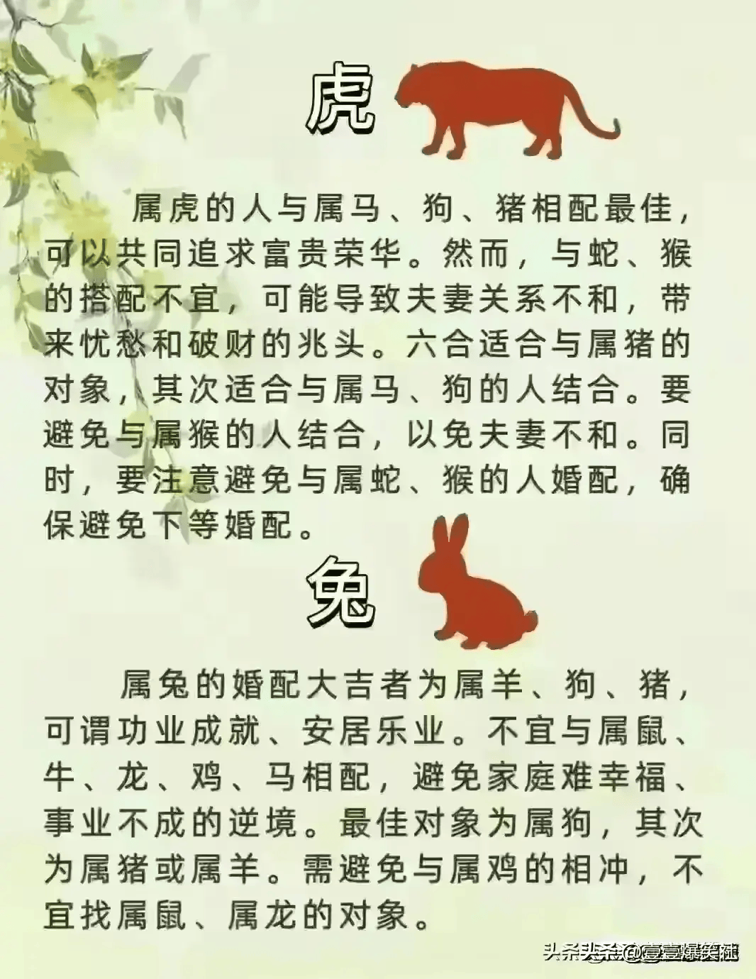 际遇思维各不同指什么生肖，重点解释