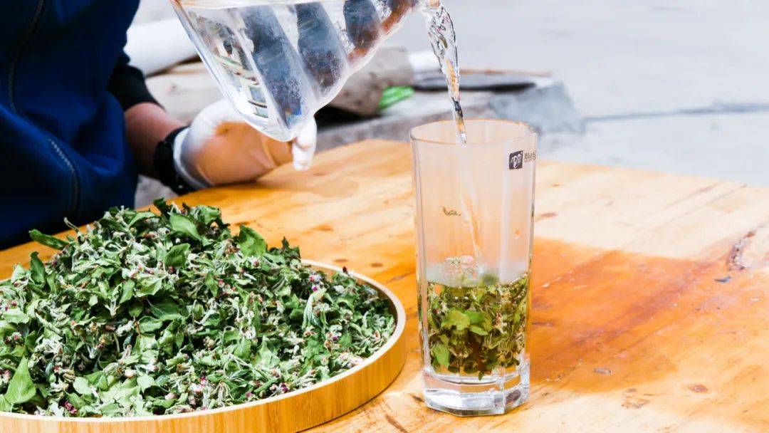 【助农行动】雪域高原的野生俄色茶