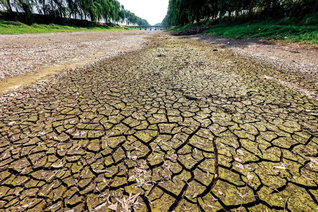 河南农民:“十年都没这样旱过”_影响_小麦_降水量