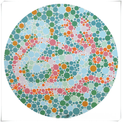 2024年驾考色弱色盲测试图,建议体检前先自测一下