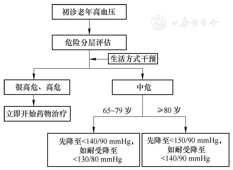 高血压分组危险因素图片