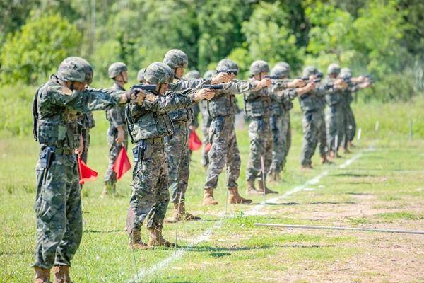 特种兵军体拳弓步冲拳图片