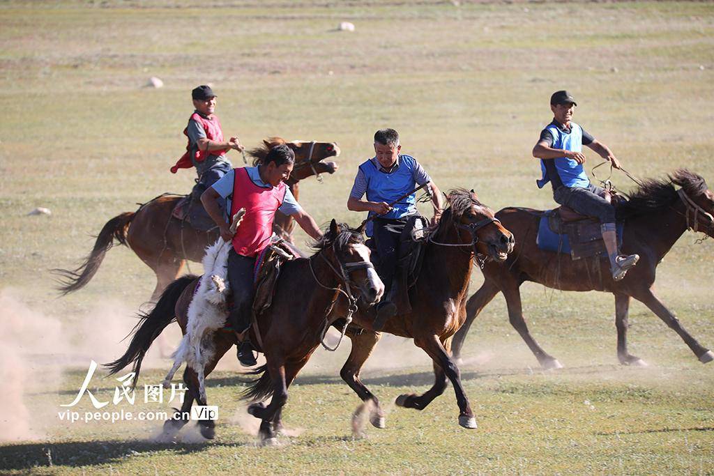 新疆阿勒泰举办草原叼羊活动