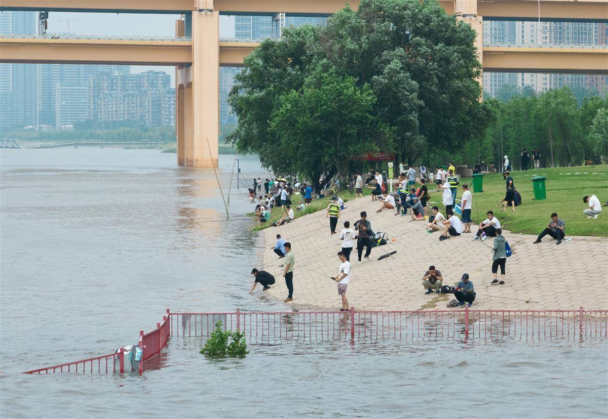 2310米,长江武汉段水位上涨