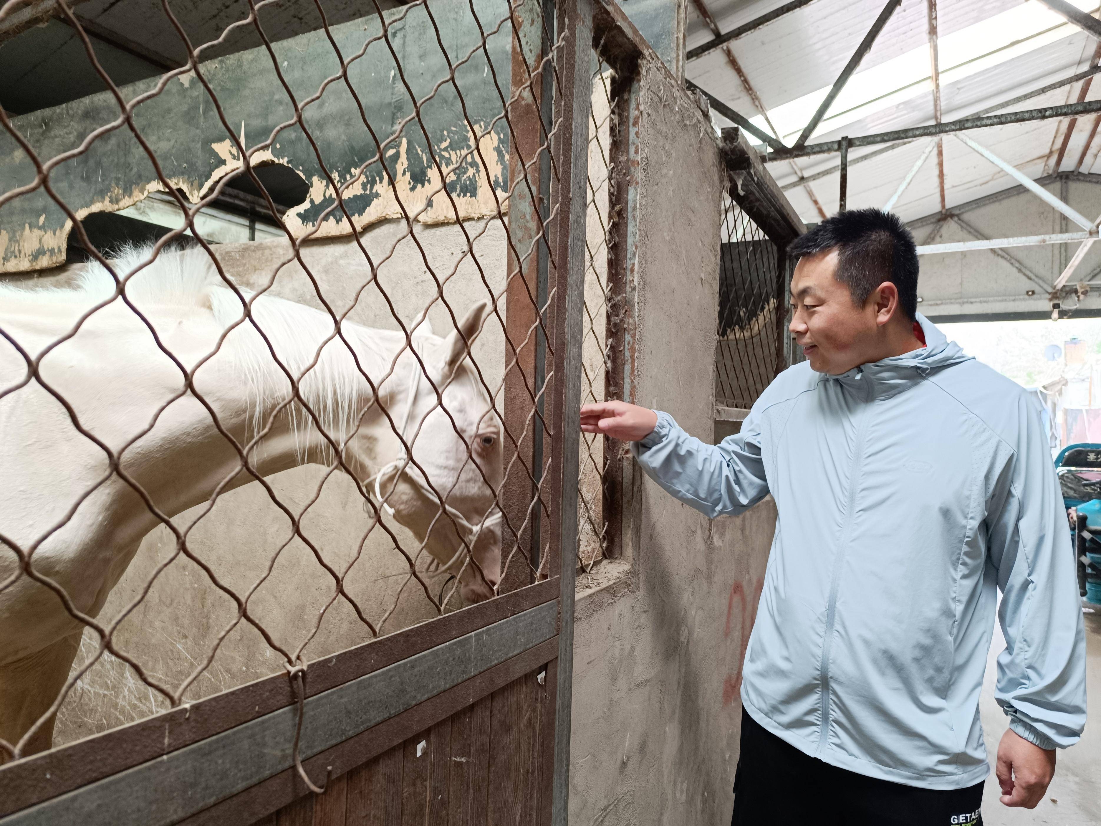 白龙驹新品种培育专家委员会在内蒙古兴安盟成立