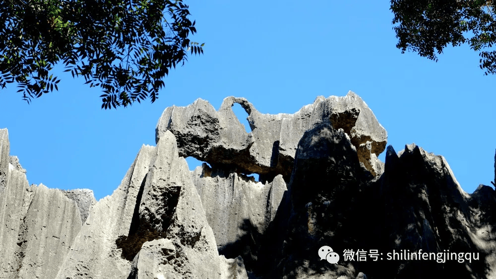 喀斯特大神之石林形态