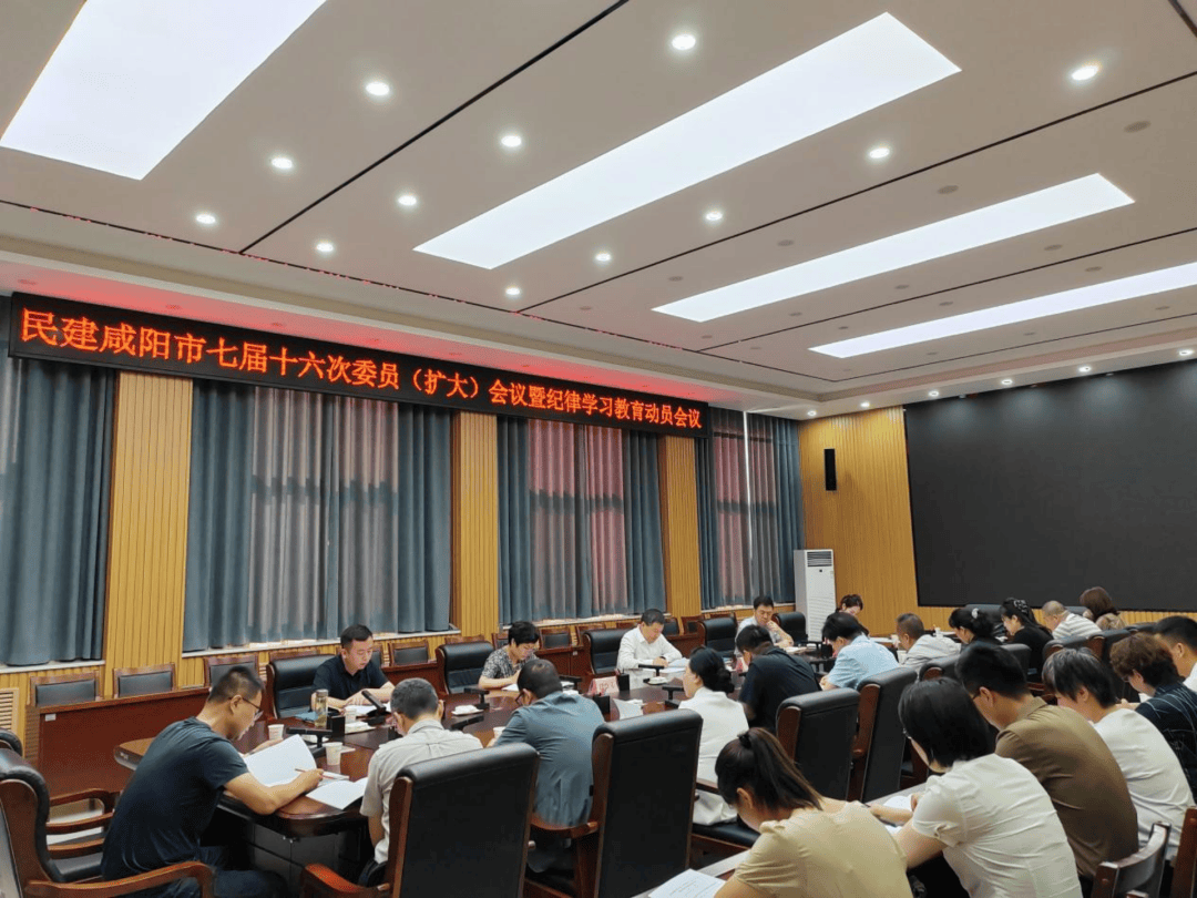党派动态 |民盟陕西省委调研组来咸调研新能源汽车发展_座谈会_我省_情况
