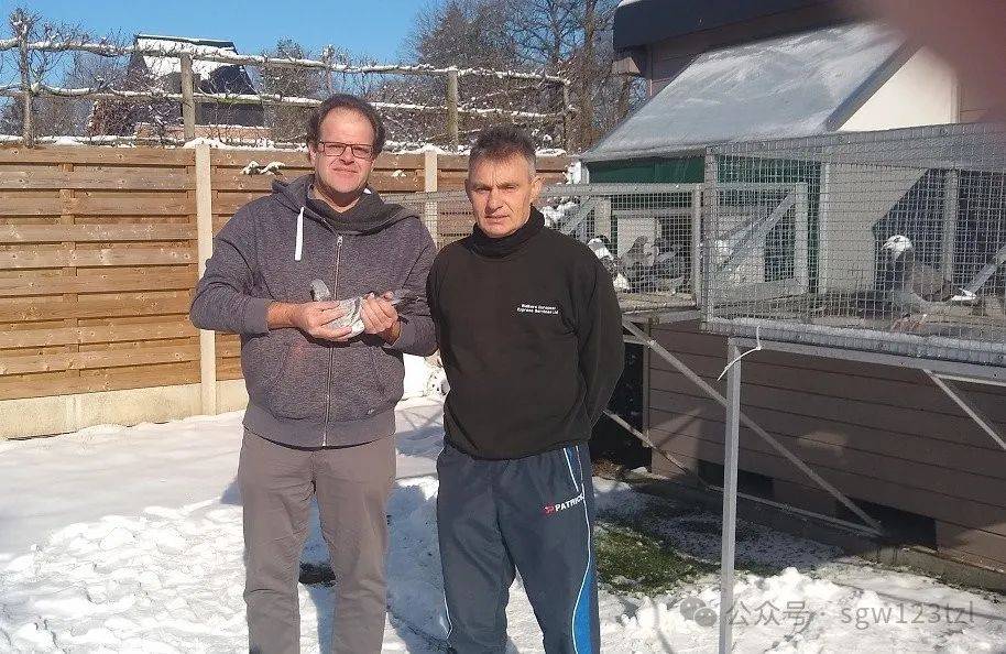 "斗牛犬"是我的鸽系核心,还有迪克.范登布克,史蒂芬.蓝布瑞契和里欧.