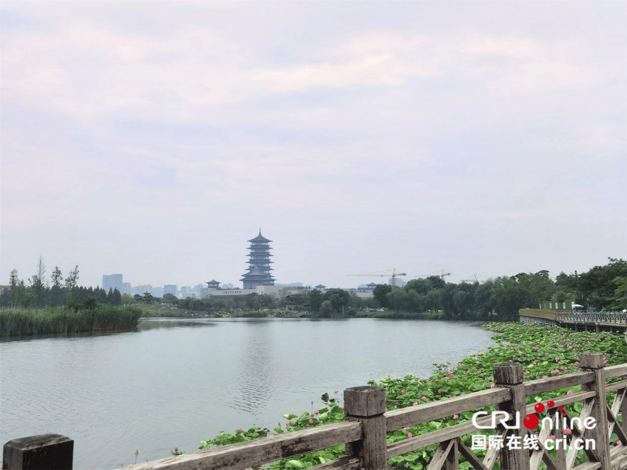 🌸湖北日报【澳门精准一肖一码准确】_知名商场今天停业，曾遍布国内多个城市，如今仅剩最后一家