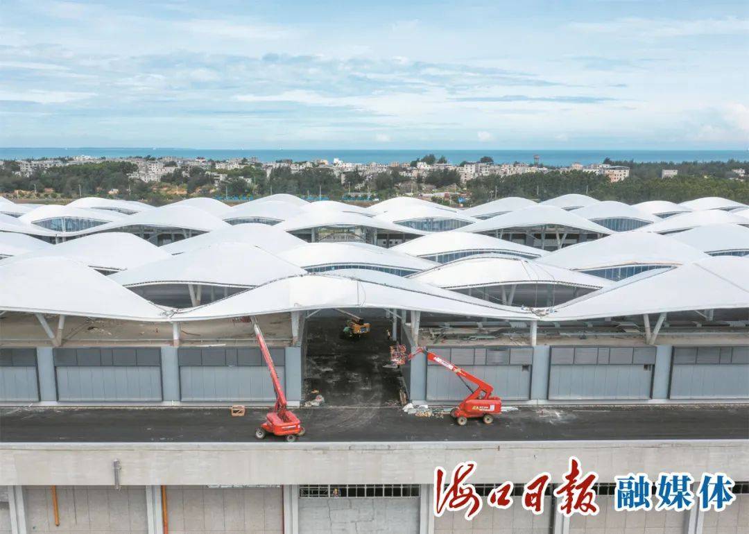 加快扫尾工作 冲刺竣工验收!海口新海港和南港“二线口岸”(货运)集中查验场所展新颜_项目_施工