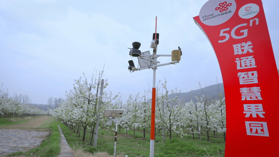 健康报网🌸管家婆一肖-一码-一中一特🌸|5G五周年 | 一文重温5G铿锵这五年！  第3张