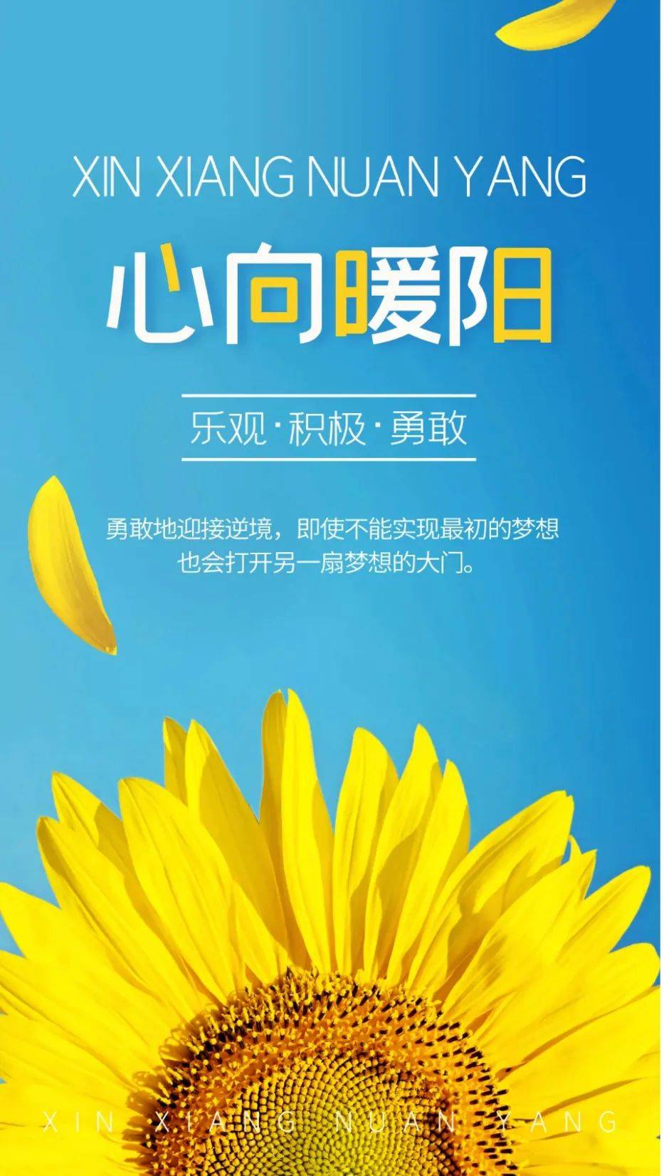 6月28日早安正能量坚持的句子:看似不起眼的日复一日,会在将来的某