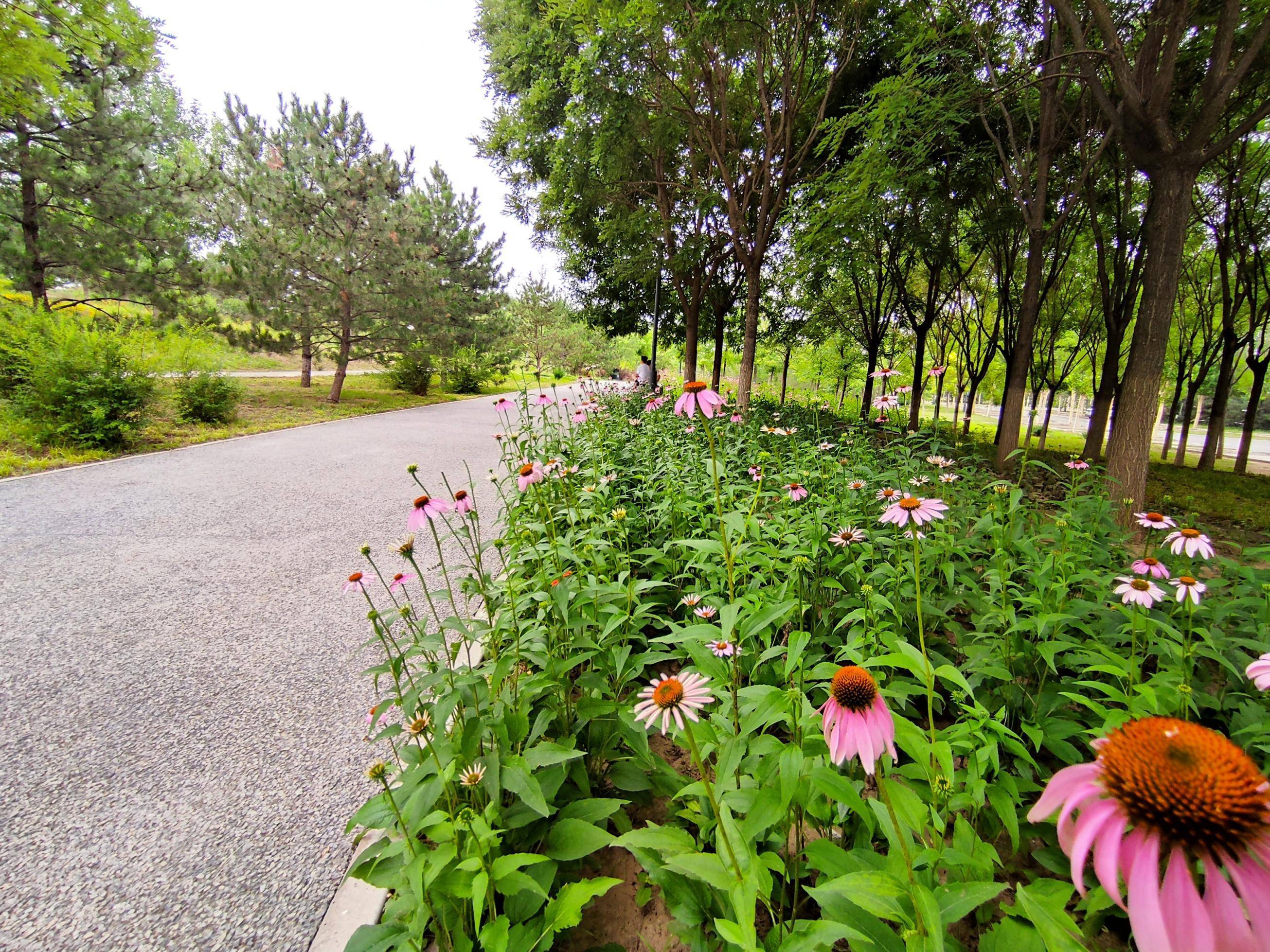 🌸山西日报【澳门一肖一码100准免费资料】_3.4亿！两宗住宅地块成交，海口城市更新加速