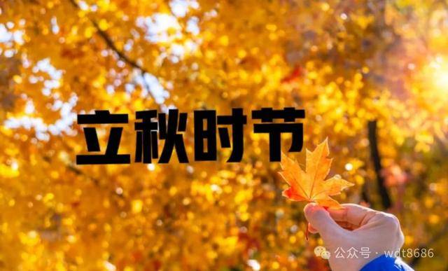 两头不收;八月立秋,早晚都收",2024年立秋在几月_农历_气候_时间