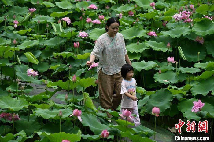 中国小康网 :二四六澳门天天彩资料大全网-肩负新的文化使命，讲好中国故事！北京市文联第十次代表大会闭幕