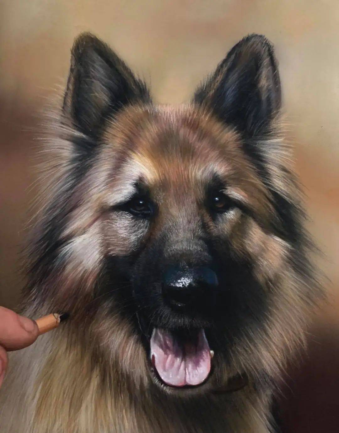 paintings by paul millerpaul miller 是一位居住在英国的野生动物和