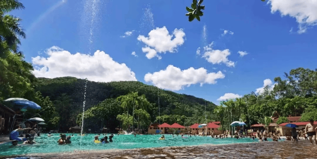 08小榄镇"深中新通道 香山新体验"分会场小榄镇筹办菊花会6月29日晚,"