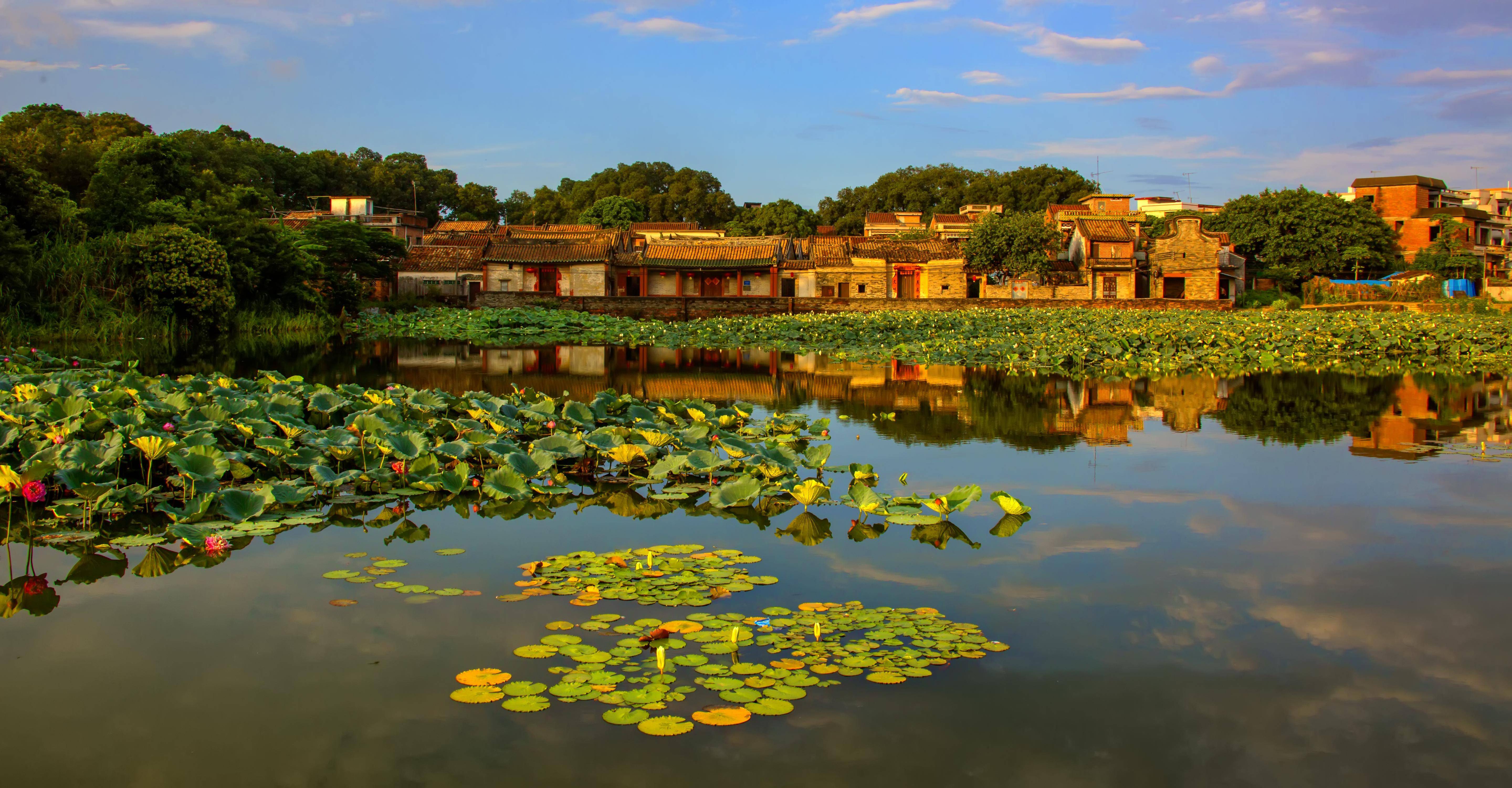 百千万工程 城管进行时⑩