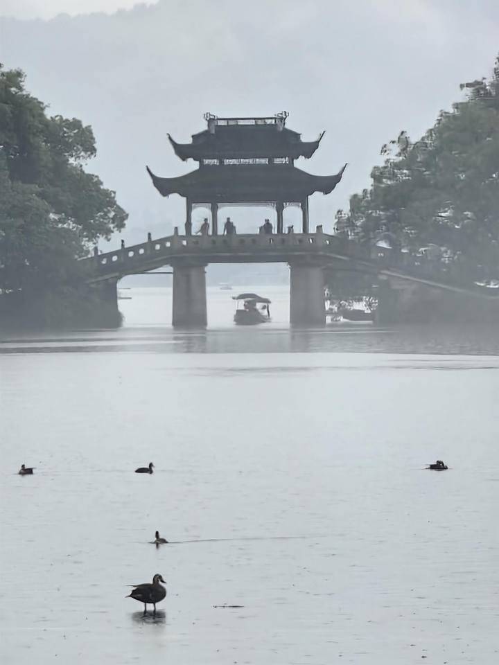 晚潮|写生西湖名人之林和靖:梅妻鹤子的情怀与情长