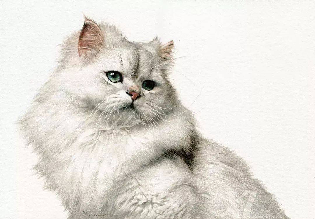 清华美院画家孟祥雷彩铅作品欣赏