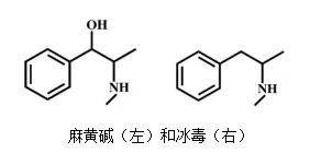 麻黄碱化学结构式图片