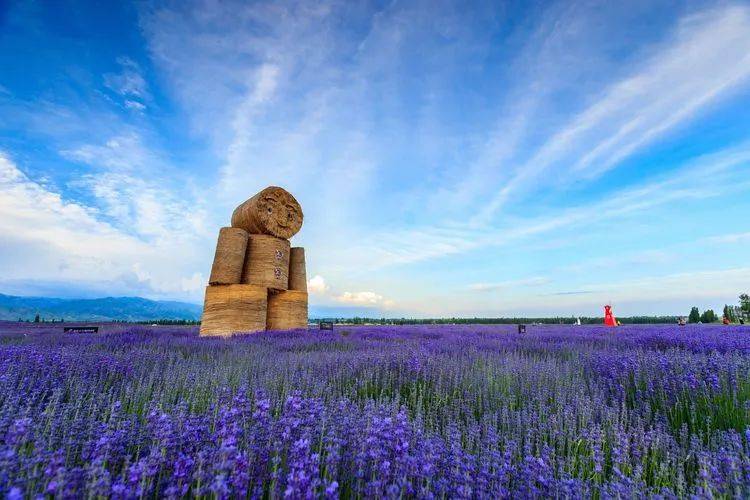 【薰衣草观光园】05天池风景区,它以天池为中心,融森林,草原,雪山