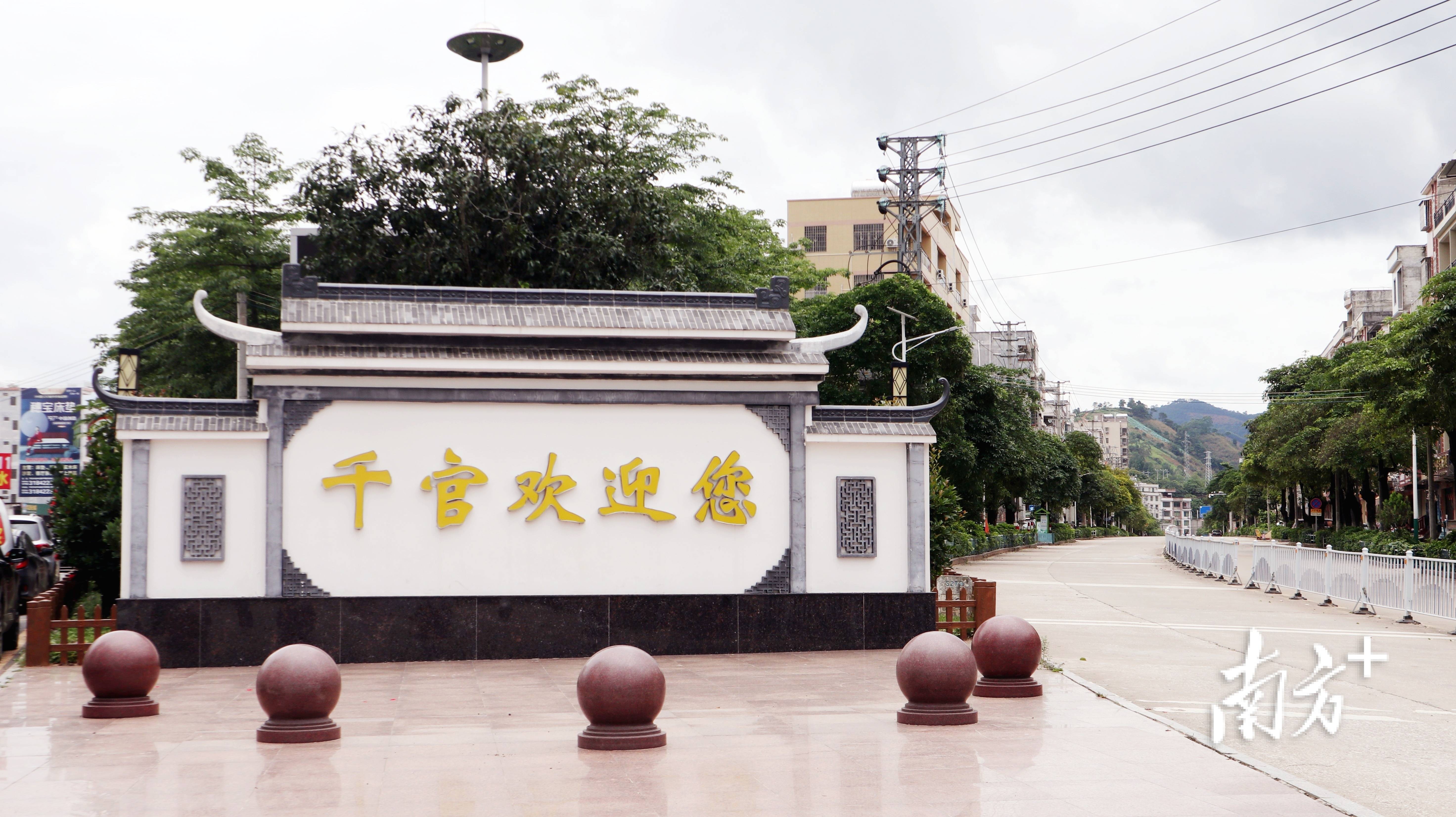 走进商旅新城,看绿美千官蓬勃发展 | "百千万工程"看郁南