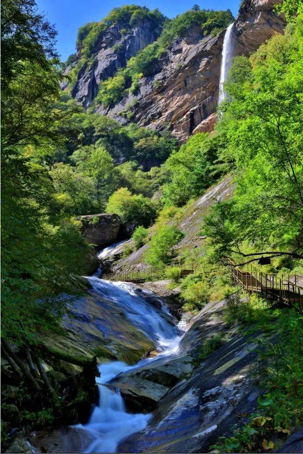 两大景区汇聚太洋公路青峰峡国家森林公园黄柏塬原生态风景区人少景美