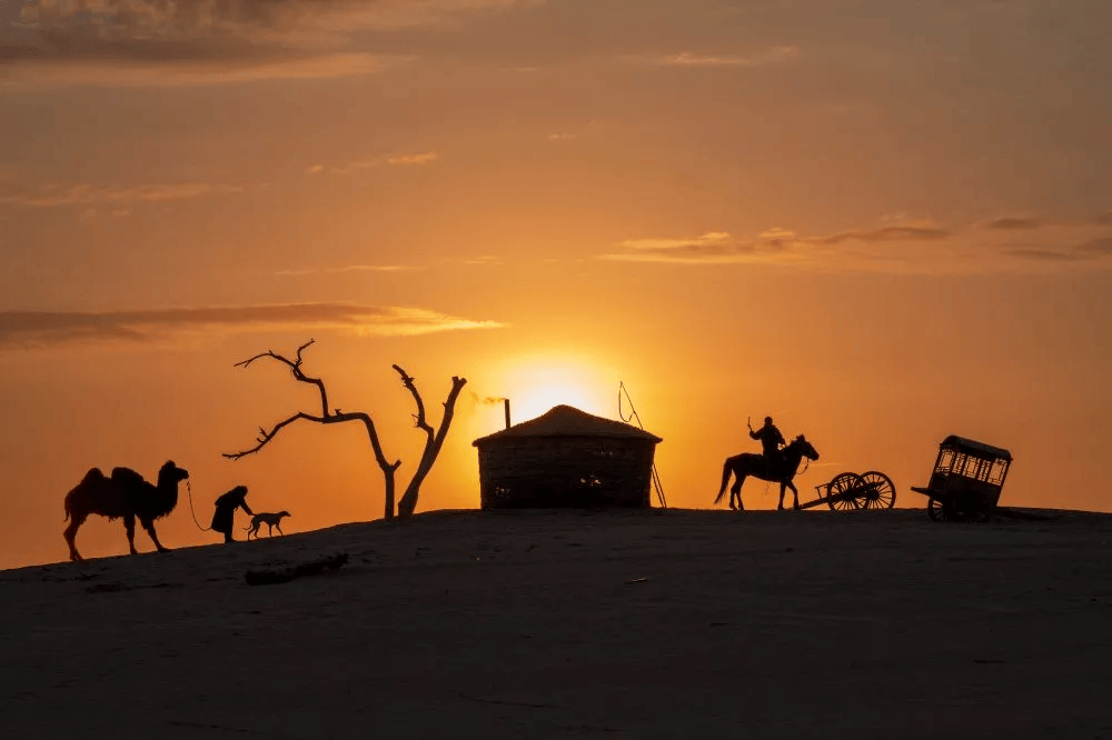 征集 | 2024"生态大漠"第七届奈曼旗全国摄影展