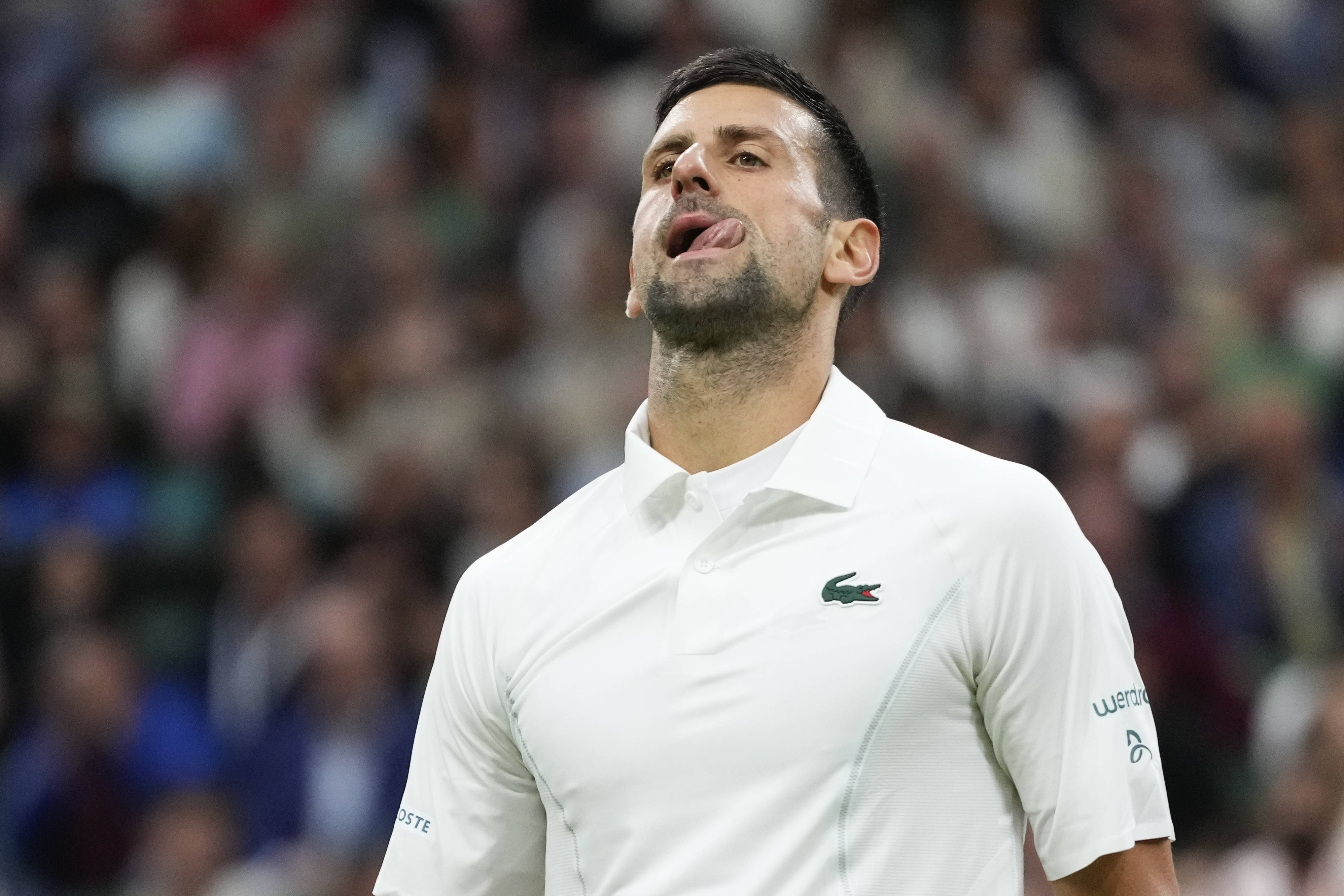 网球——温网:焦科维奇晋级男单八强