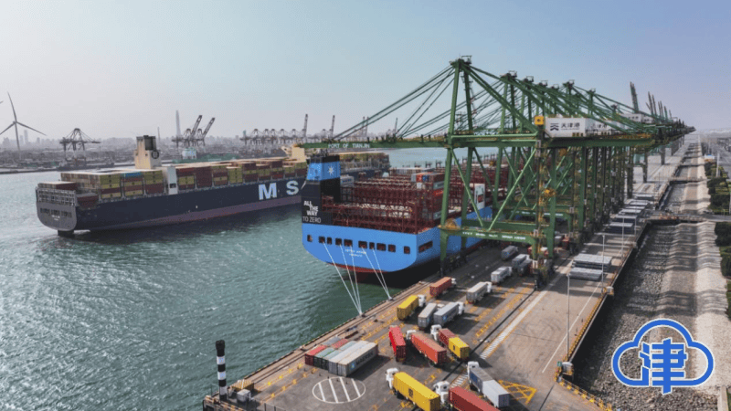天津打出一套"港口牌"_发展_邮轮_进口