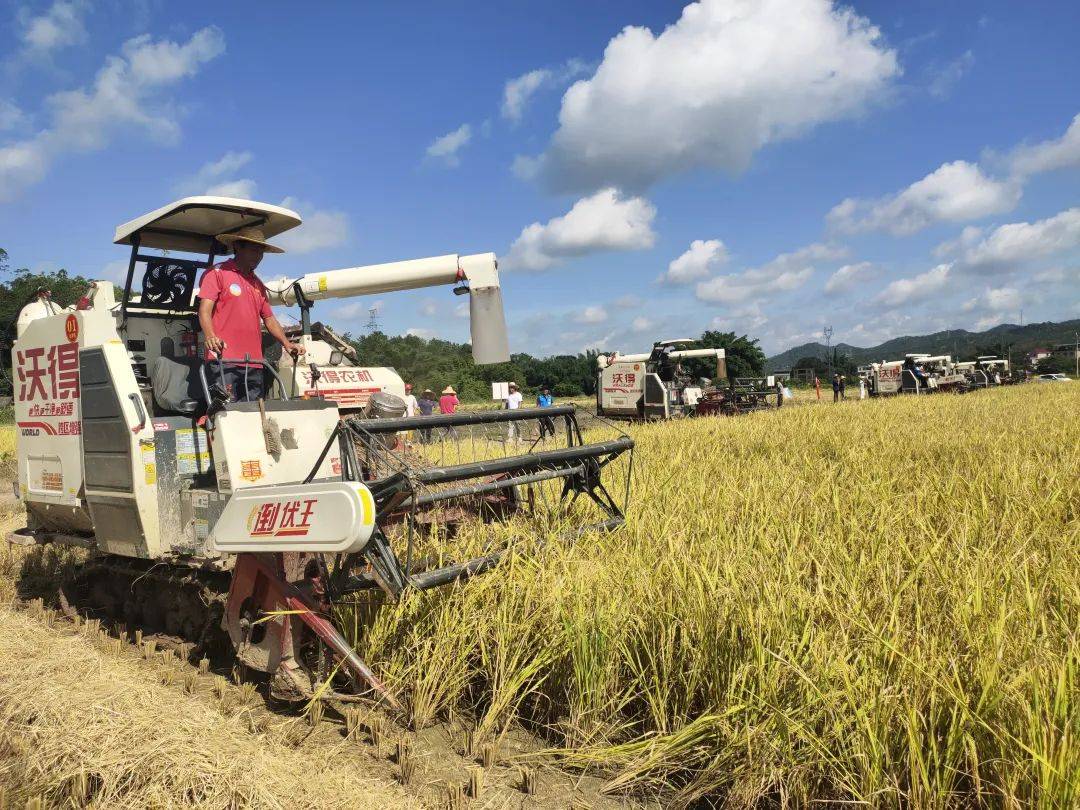 河源举办农机"大比武",农机手田间"学技术"