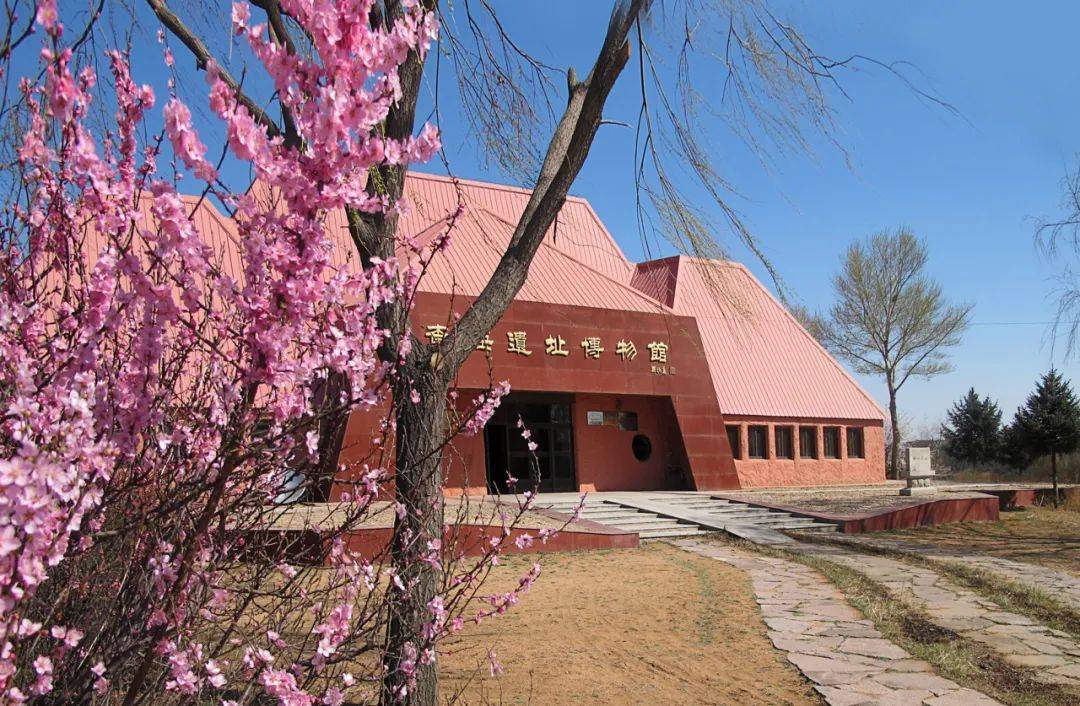 海遗址到阜新一定要看中华第一龙01逛逛这座美丽的阜新城更应见见这里