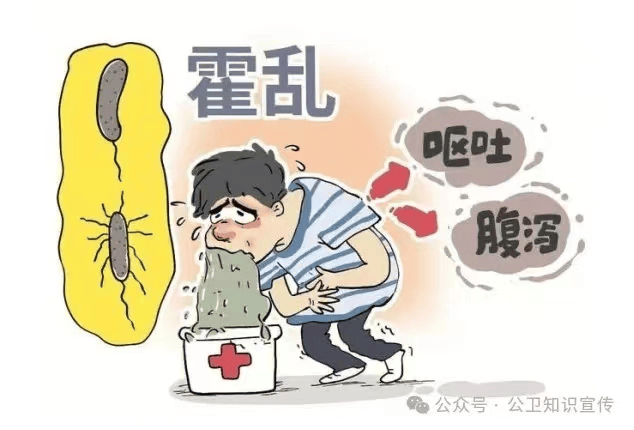 了解霍乱,遇"事"不乱