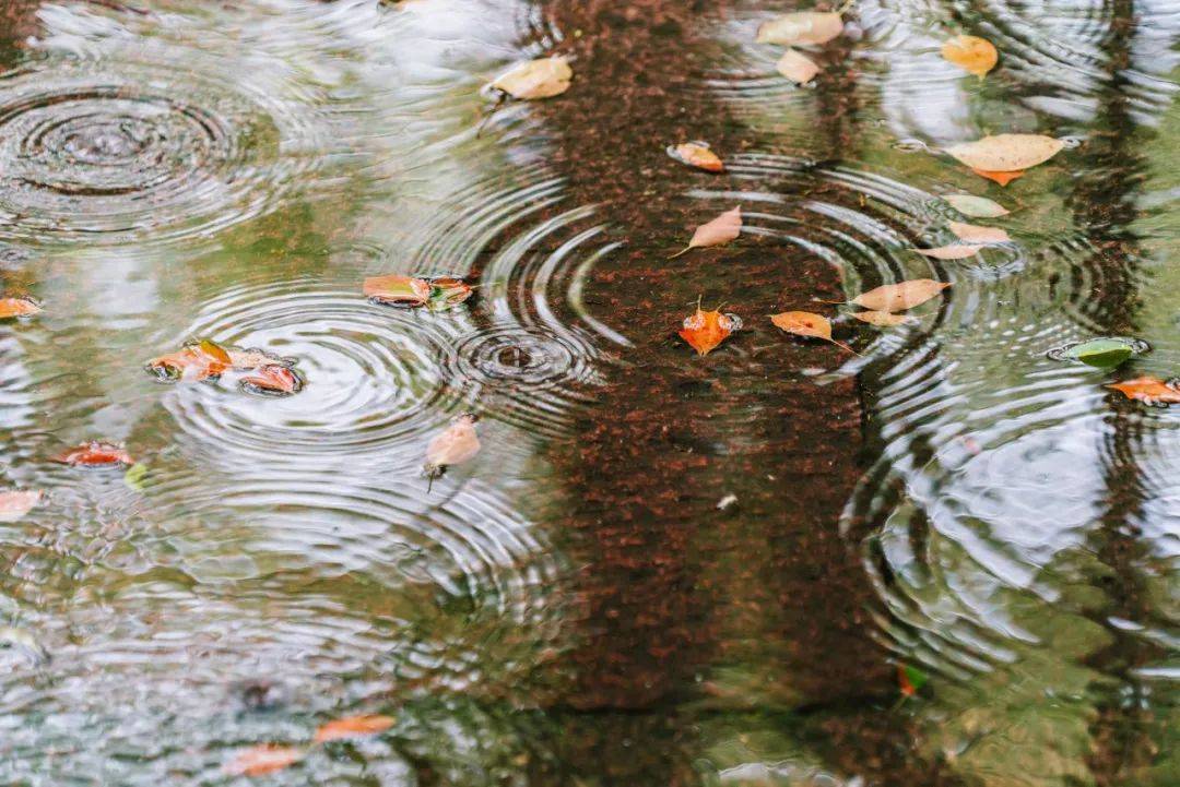 夏天的雨照片图片