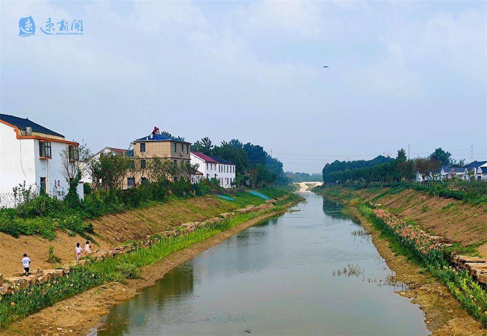 宿豫:建设生态河道 添彩美丽乡村_朱项庄_排涝_农村