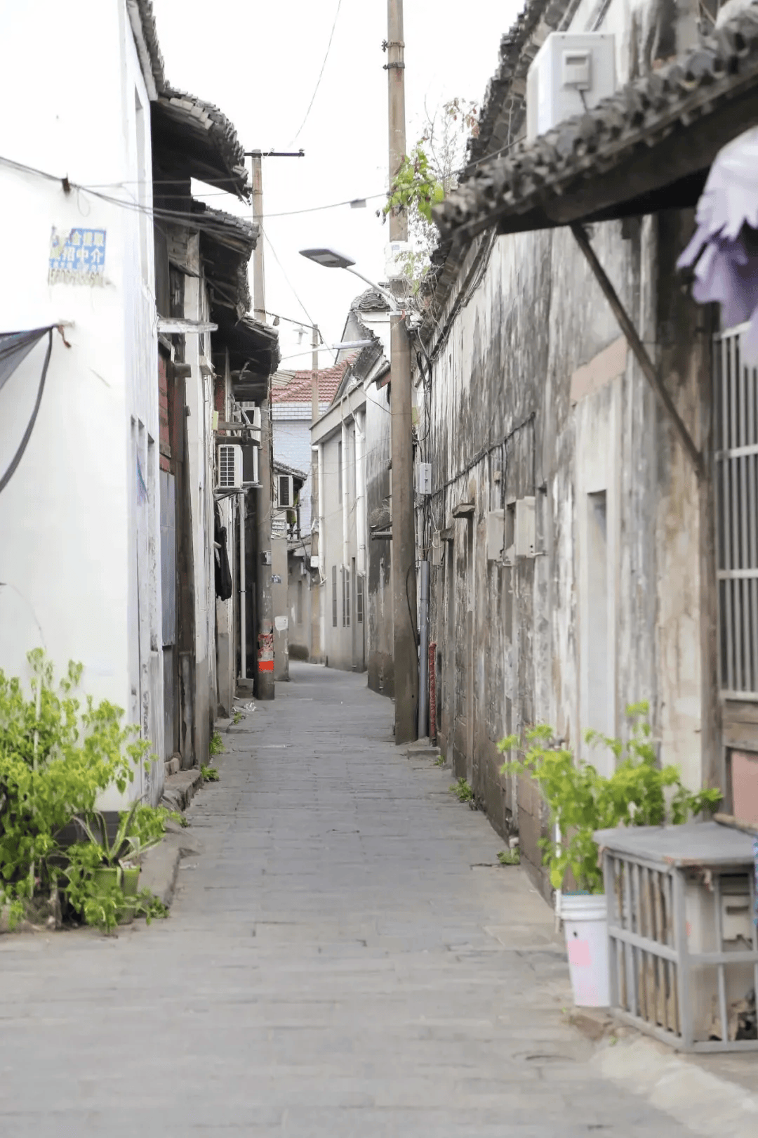陈家老街位于掌起镇中部,形成于明代,从大泽桥到同泰弄,药店弄等小巷