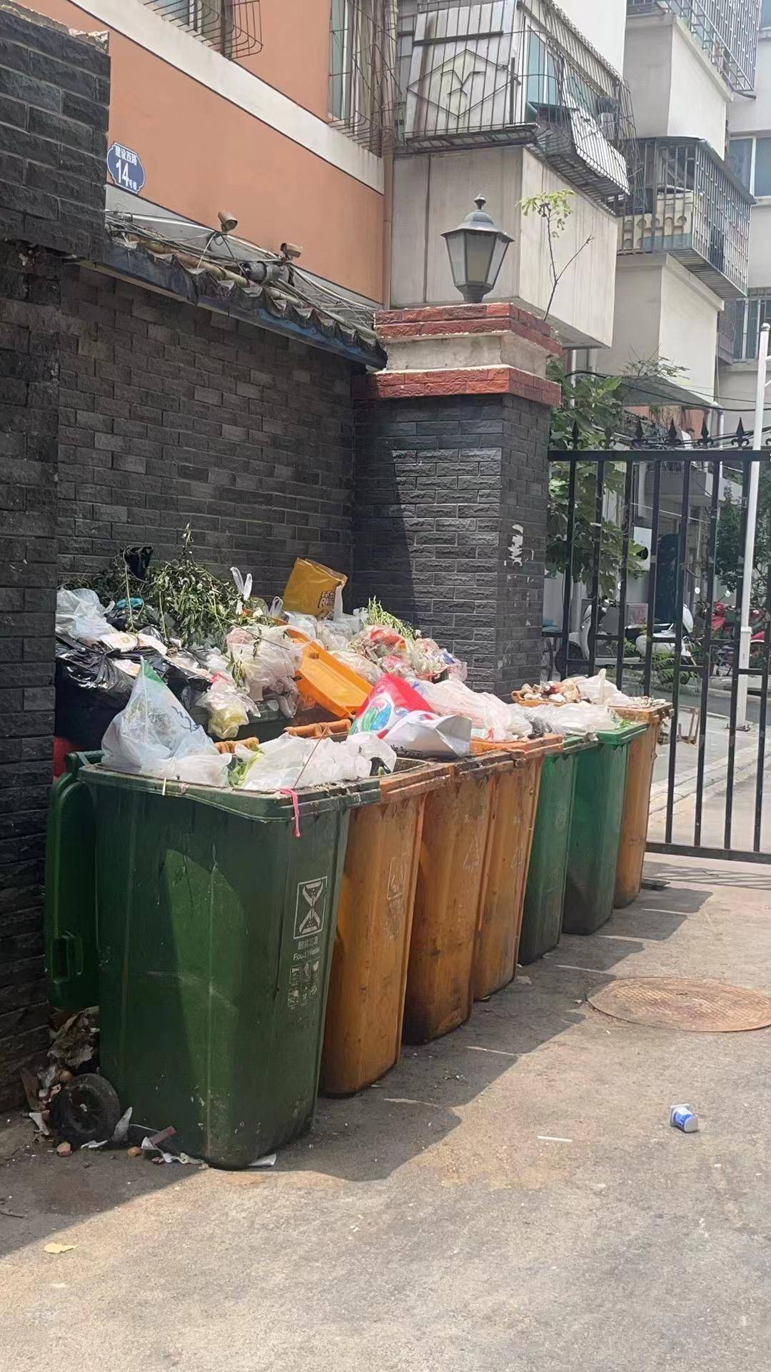 郑州国棉四厂家属院垃圾已清理,老旧小区治理难题如何解?